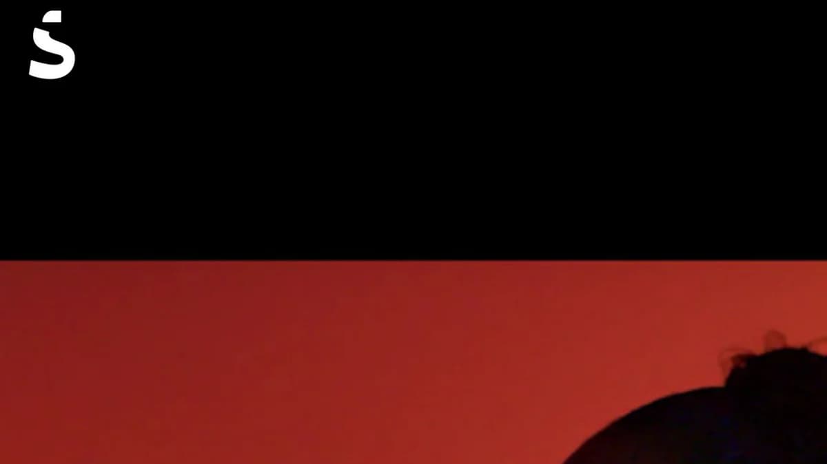 Screenshot of Sava Technologies funding