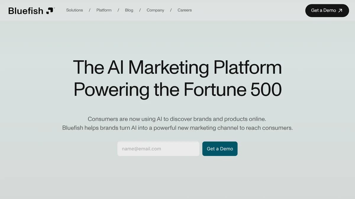 Screenshot of Bluefish AI marketing funding