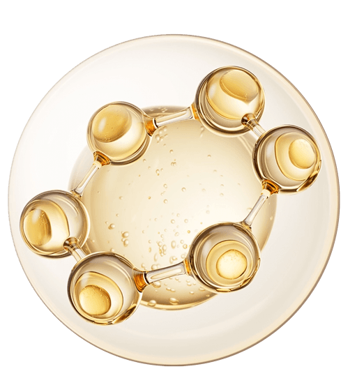 Terra Oleo logo - Terra Oleo funding