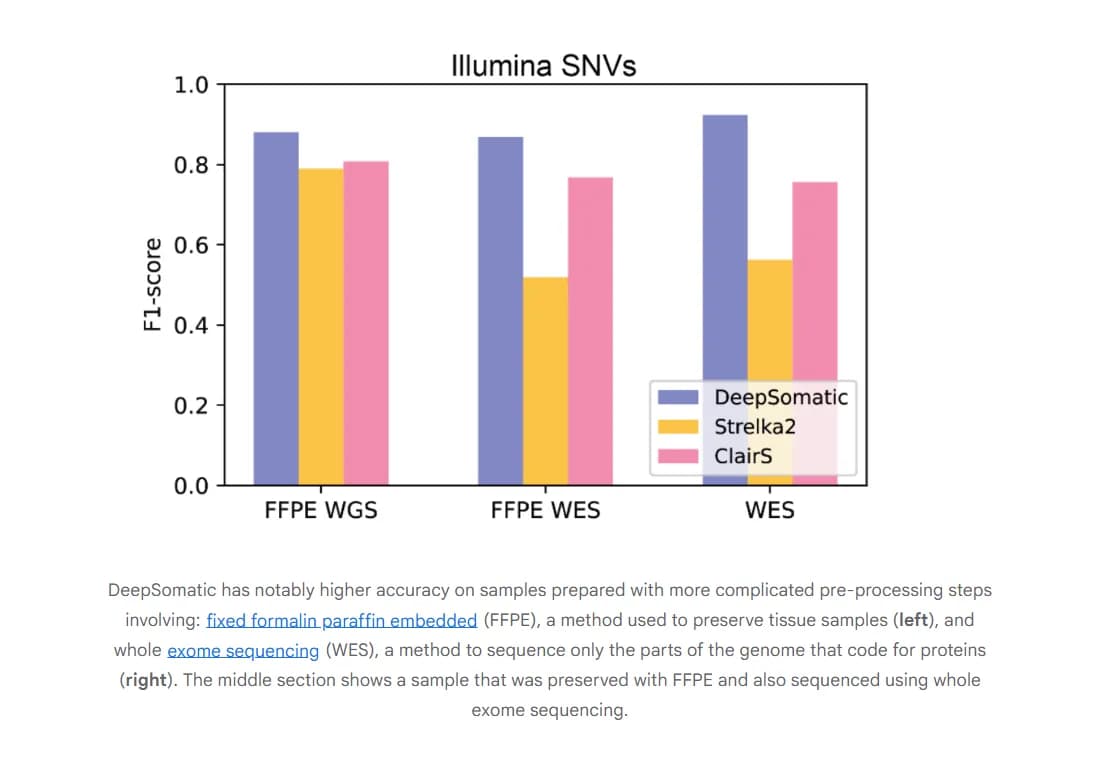 Google DeepSomatic AI aims to outsmart cancer mutations