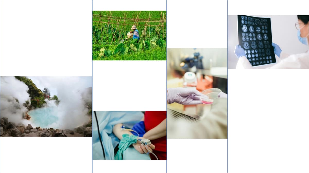 An abstract visualization of a complex protein structure predicted by AlphaFold protein prediction, highlighting its intricate 3D shape.