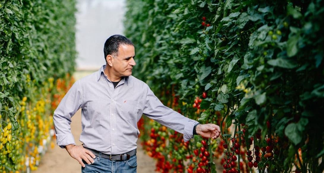 Israel’s Harmoniz is leveraging technology to provide tomatoes with superior flavor and freshness
