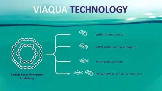 ViAqua Therapeutics Funding